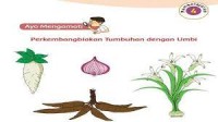 Image of TANAMAN UMBI-UMBIAN DI HALAMAN